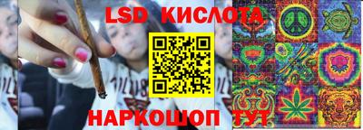 прущие грибы Усть-Джегута